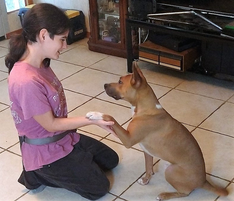 Brook Lefkowitz - Professional dog trainer