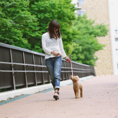 a woman walking down the sidewalk with her dog, they are looking at each other and keeping engagement while walking
